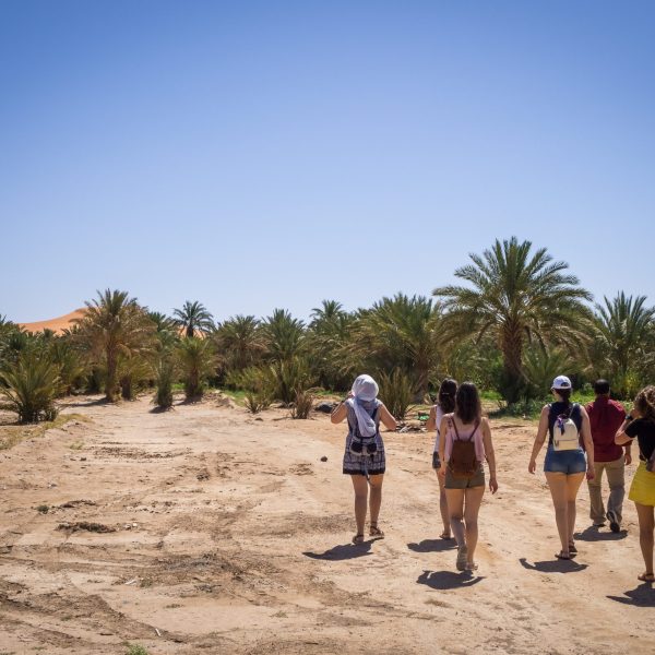 The tourists walking in the Oasis of Merzouga village in Sahara desert, Morocco